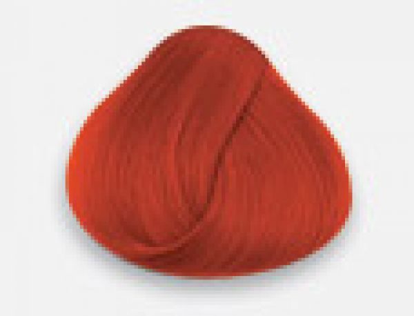 Directions Color tangerine