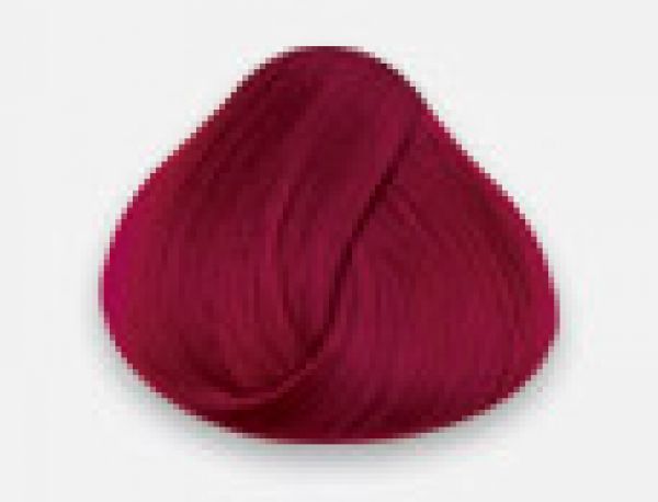 Directions Color tulip