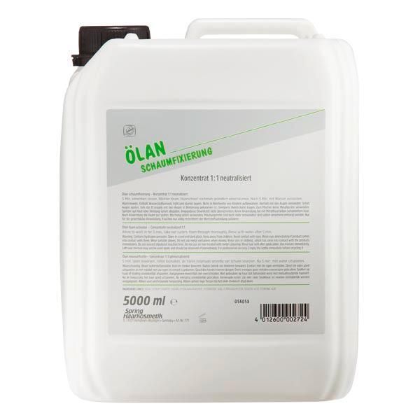 Spring Olan Schaumfixierung 5L